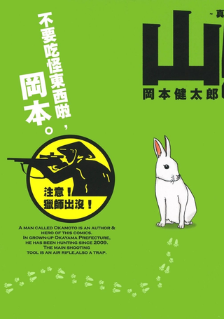 山贼日记