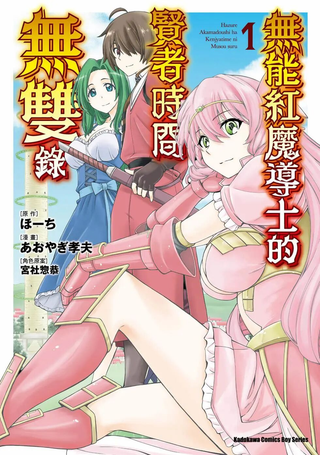 废材赤魔导士在贤者时间里是无敌的