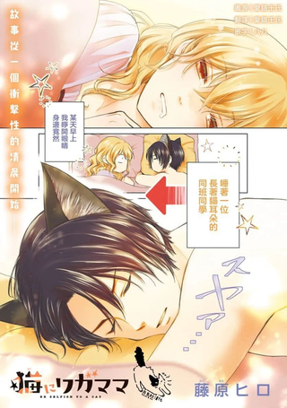 强制吸爱猫猫男