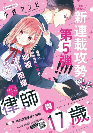 律师与17岁