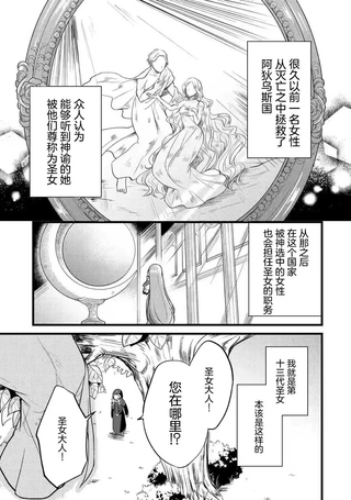忘却圣女