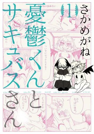 忧郁君与魅魔少女