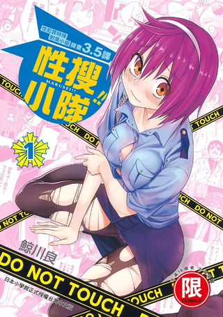 性犯罪特殊对策小组 搜查3.5课