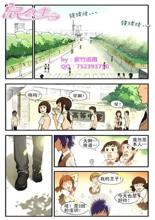 鼠公主