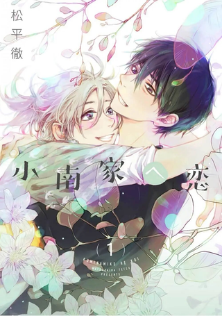 情至小南家