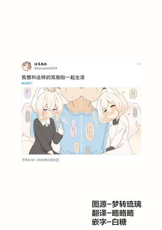 想和这样的双胞胎一起生活