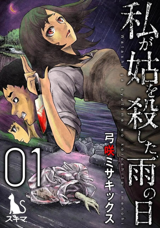 我一刀捅死婆婆的那个雨天