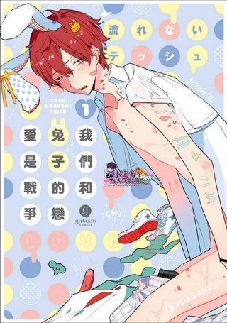 我们和兔子的恋爱是场战争