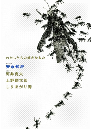 我们喜爱之物