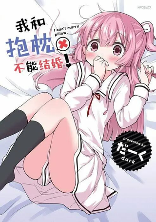 我和抱枕不能结婚!