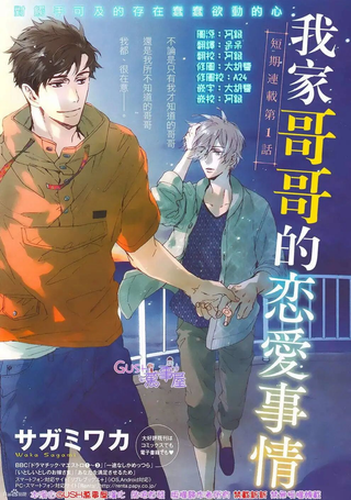 我家哥哥的恋爱事情