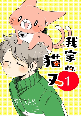 我家的猫又