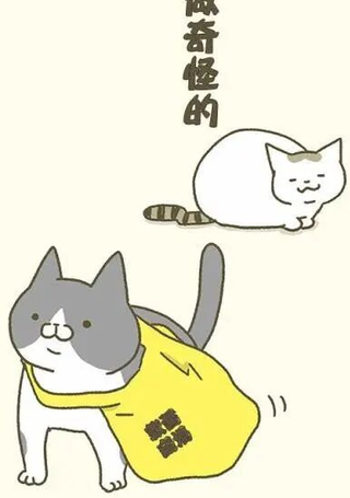 我家的猫又在做奇怪的事了