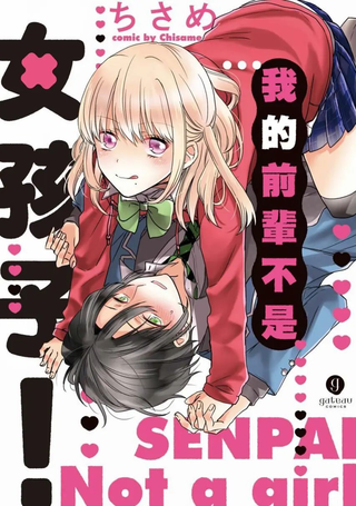 我的前辈不是女孩子