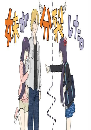 我的妹妹她分裂了