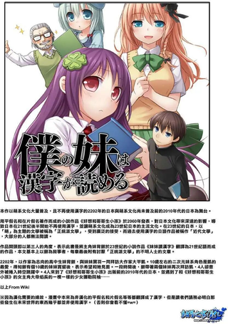 我的妹妹懂汉字