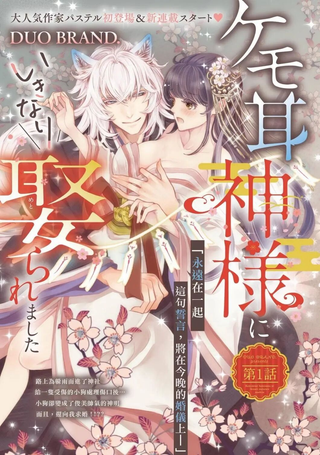 我突然和兽耳神明成婚了
