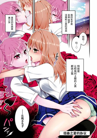 扭曲之爱的协议