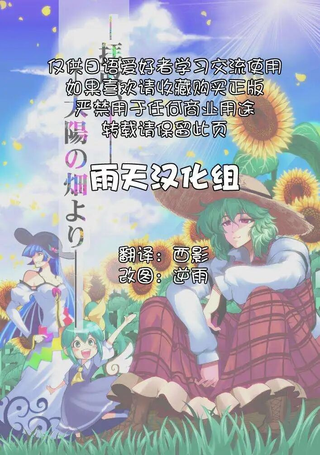 拜访太阳花田