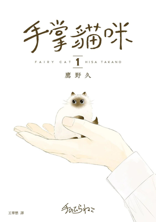 掌心猫猫