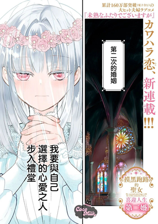 摸黑跑路的圣女喜迎人生第二婚