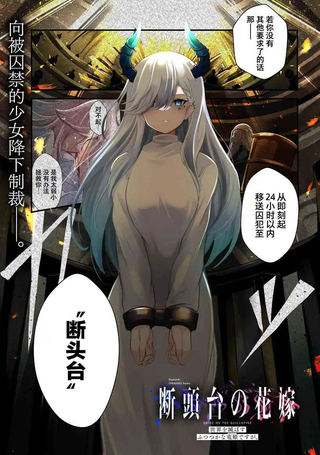 断头台的新娘 不才小女子乃毁灭世界的龙姬。