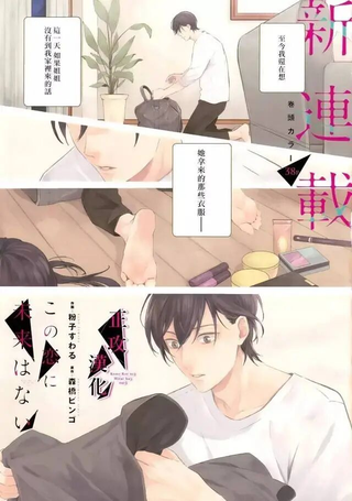 无望之恋