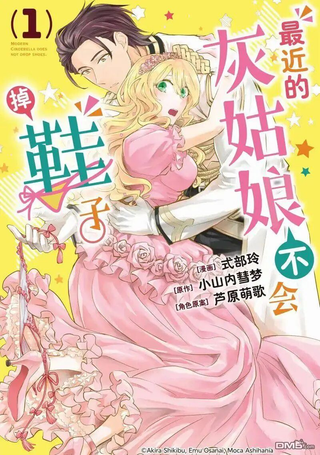 最近的灰姑娘不会掉鞋子