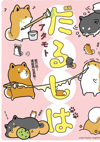 桶柴