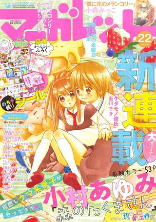 森林里的熊先生