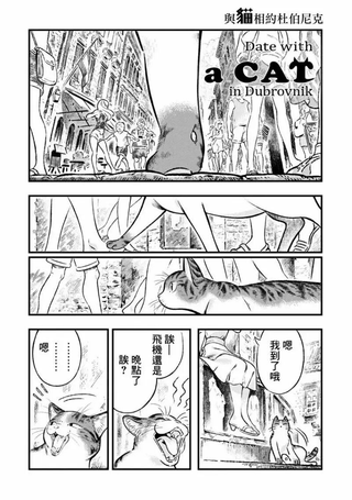 棱镜盛开的庭院