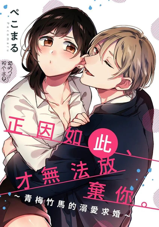 正因如此才无法放弃你