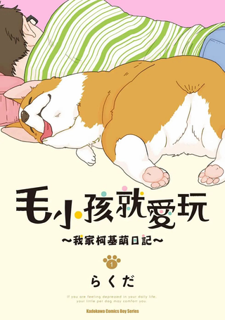 毛小孩就爱玩～我家柯基萌日记