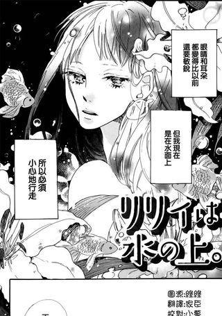 水面上的百合花