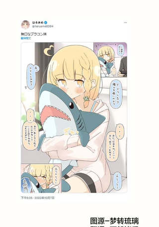 沉默寡言的兄控妹妹