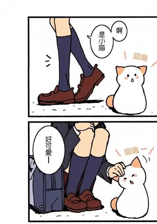 沉默寡言的猫