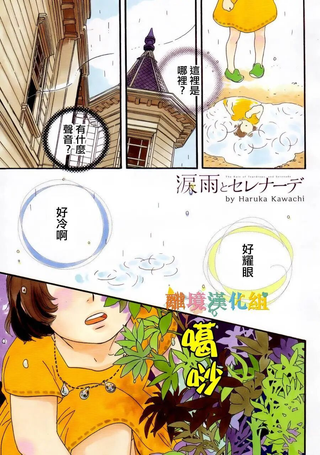 泪雨和小夜曲