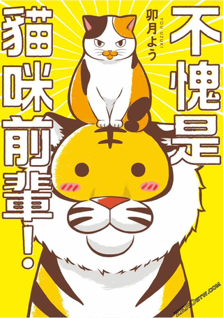 流石猫前辈