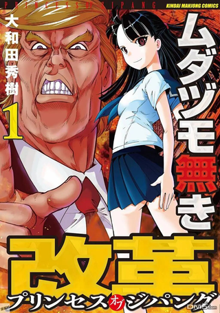 渣和无用改革—大和公主麻将传说