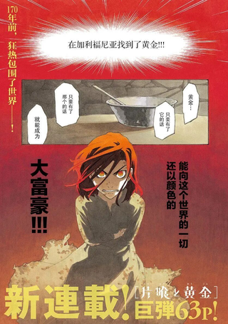 满天星与黄金