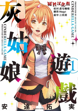 灰姑娘的游戏