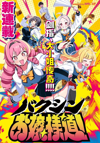 爆进、大小姐之道！