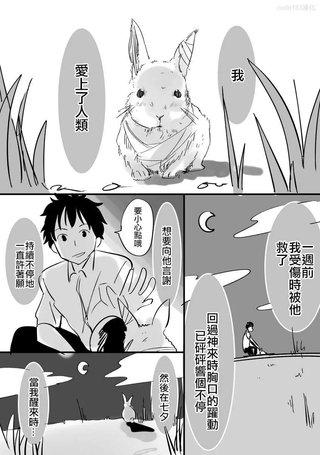 爱上人类的兔子