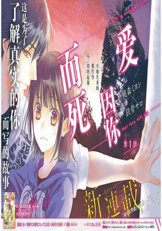 爱因你而死