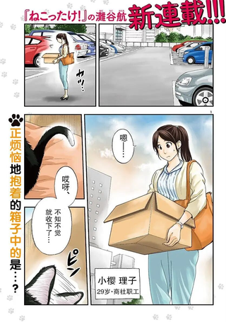 爱猫相伴的玩家小姐