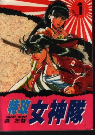 特攻月亮女神