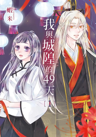 我与城隍的49天