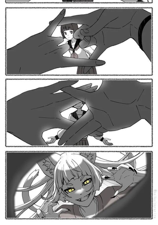 狐之窗