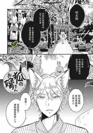 狐妖新郎