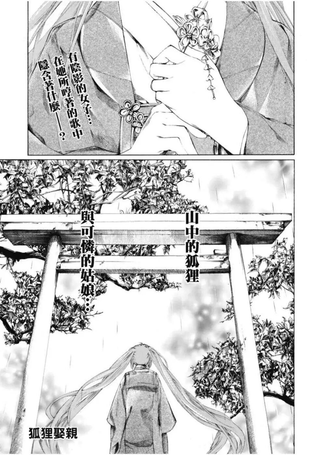 狐狸娶亲